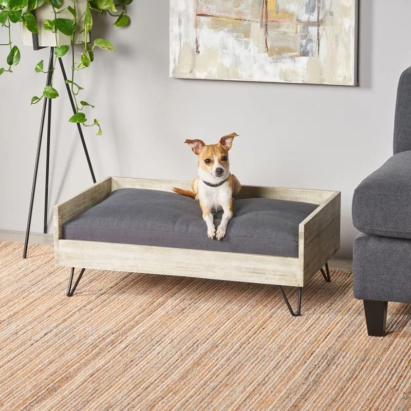Kaylor Mid Century Modern Dog Sofa thumbnail 2