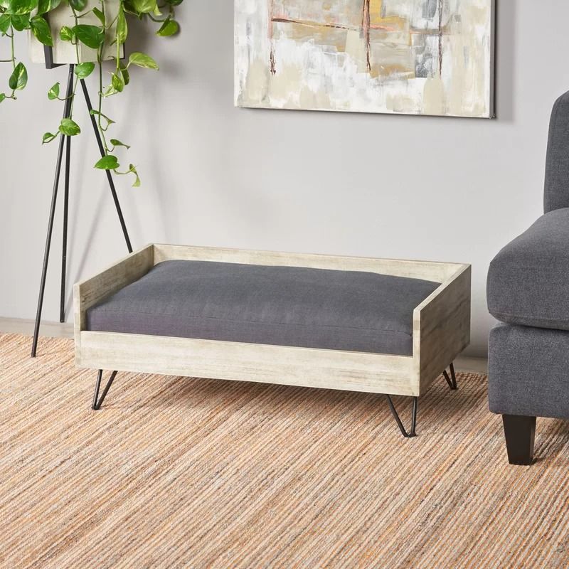 Kaylor Mid Century Modern Dog Sofa thumbnail 3