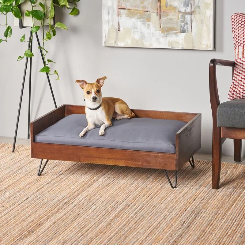 Kaylor Mid Century Modern Dog Sofa thumbnail 2