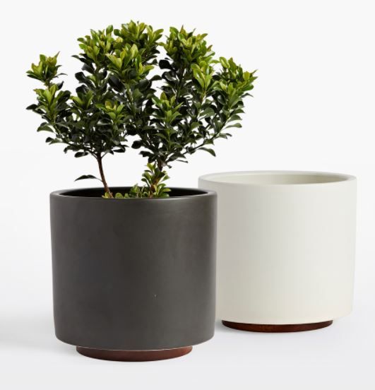 MODERNICA SMALL CYLINDER PLANTER WITH WALNUT BASE thumbnail 3