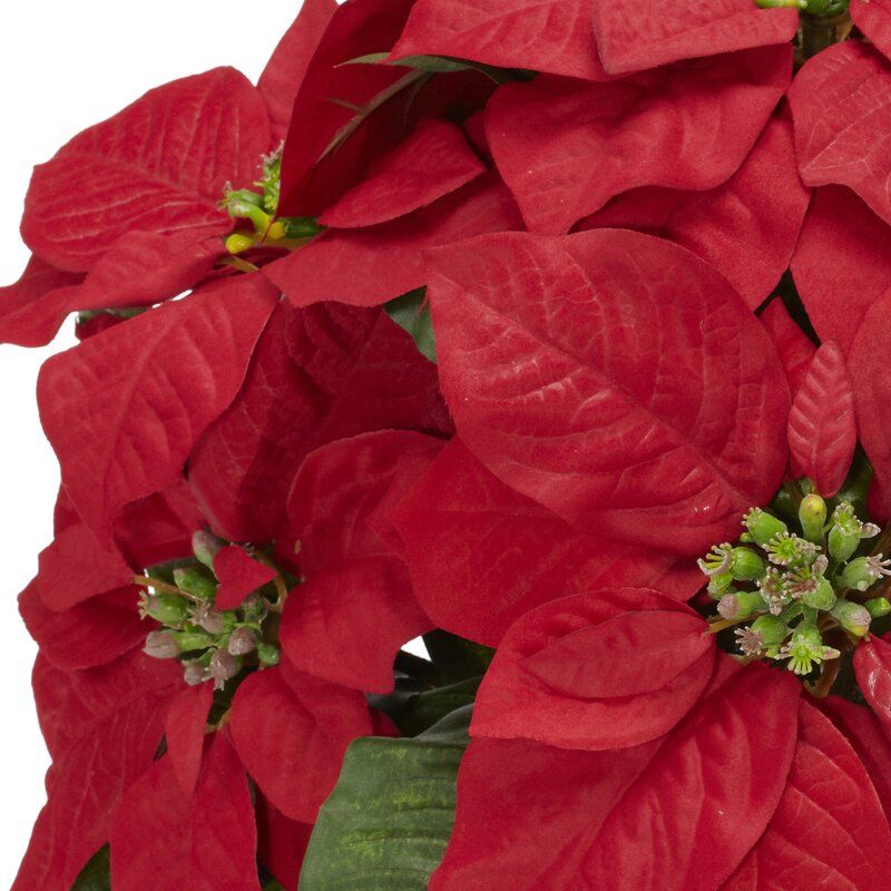Floral Arrangement in Vase thumbnail 3