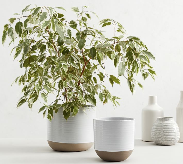Quinn Stoneware Planters thumbnail 3