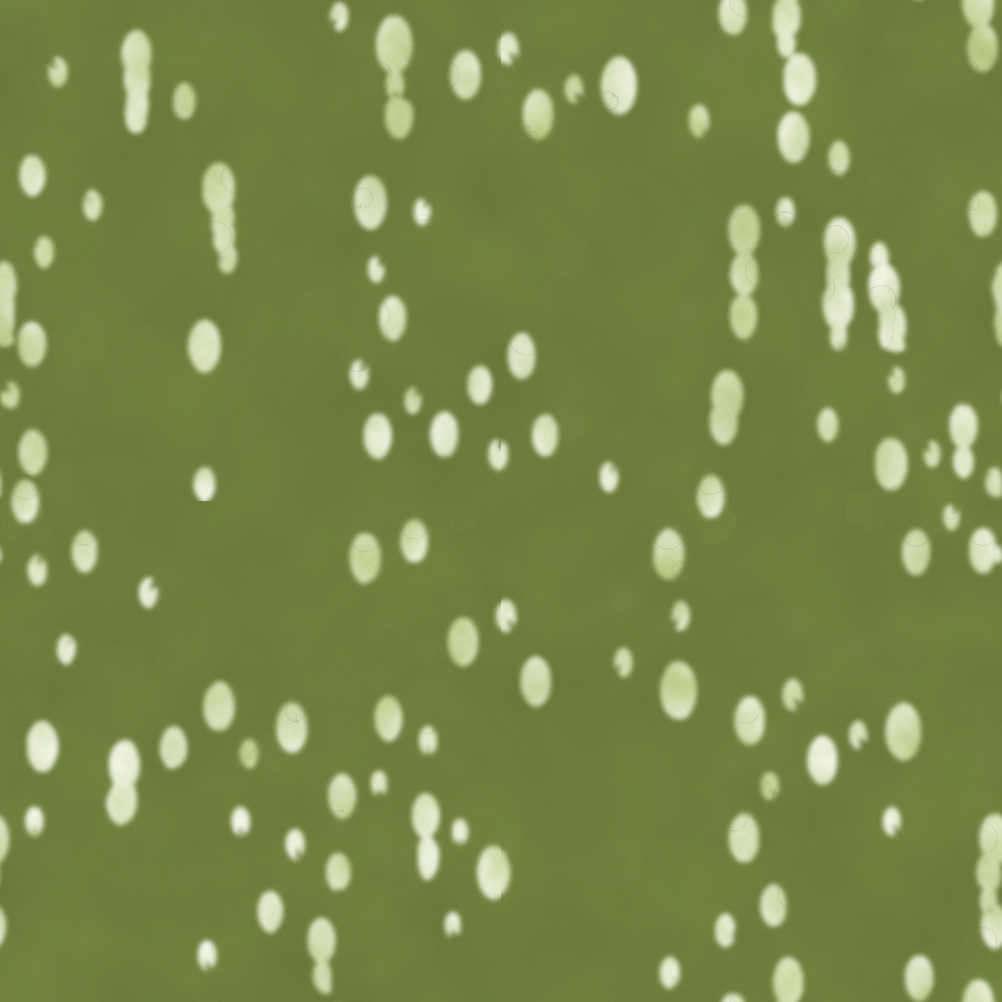 Aloe Succulent in Planter thumbnail 6