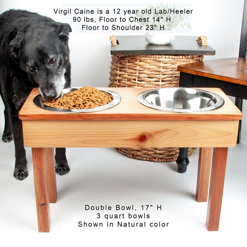 Large Dog or Cat Double Elevated Feeder thumbnail 4