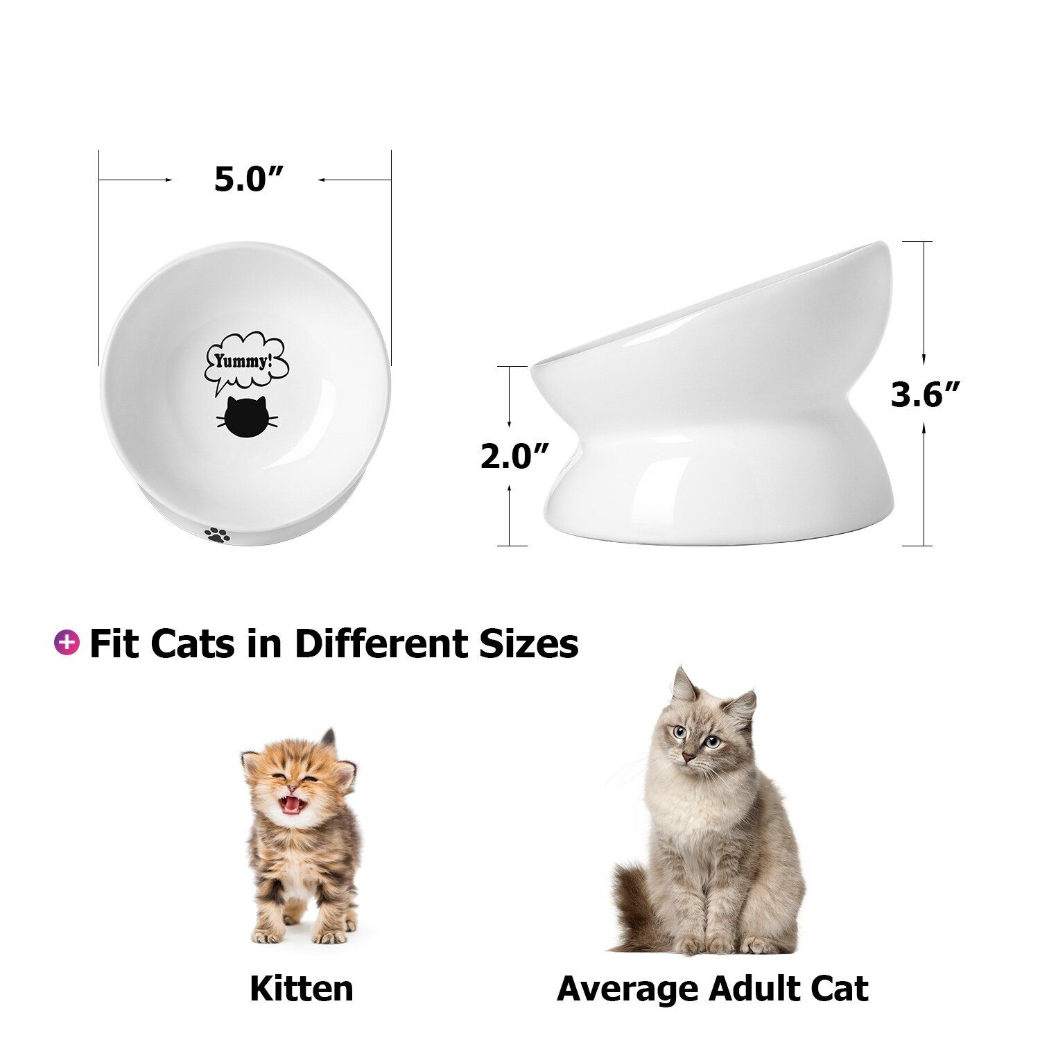 Elevated Cat Food Ceramic Bowl thumbnail 4