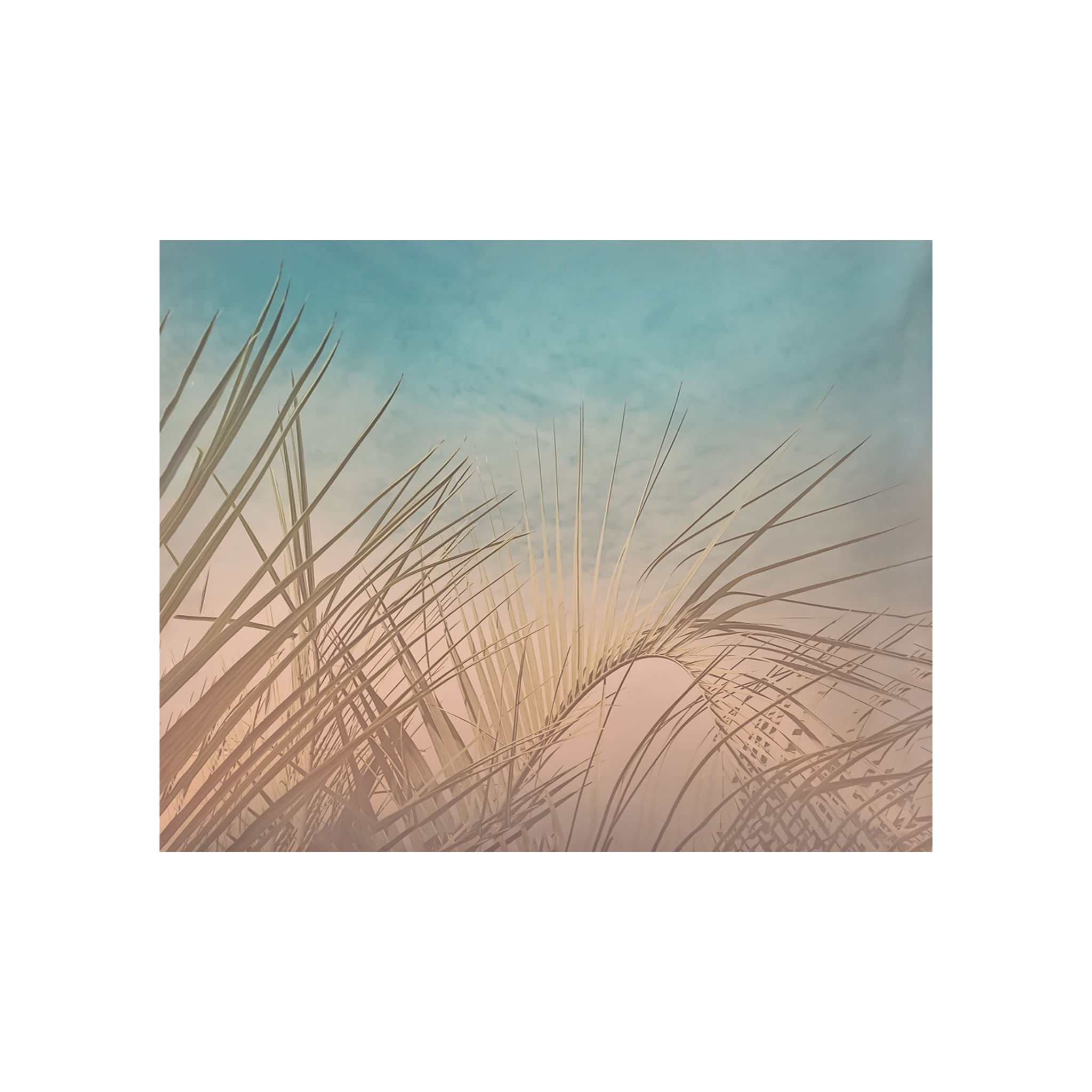 Pastel Palm Lumbar Pillow With Insert-20"x14" thumbnail 4
