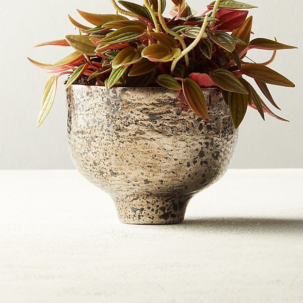 RELIC FOOTED PLANTER thumbnail 2