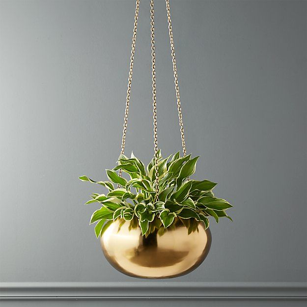 RAJ GOLD HANGING PLANTER thumbnail 2