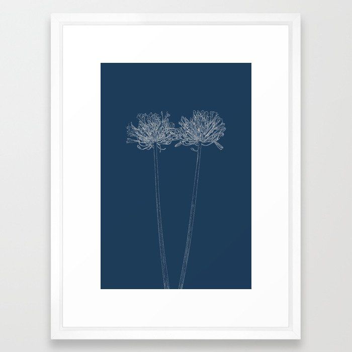 Agapanthus Blueprint Art Print With Frame thumbnail 2