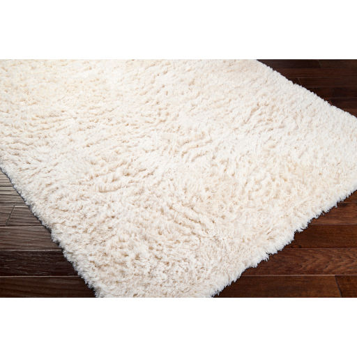 Asra Rug - 8' x 10'6" thumbnail 3