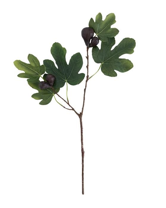 Faux Fig Berry Stem thumbnail 2