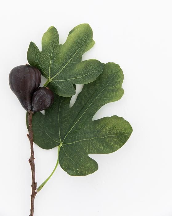 Faux Fig Berry Stem thumbnail 3