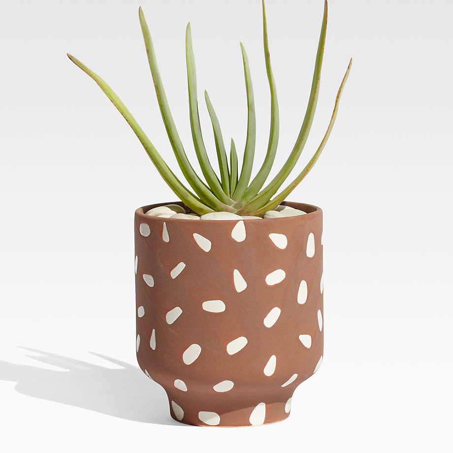 Datura Footed Speckled Planter thumbnail 2
