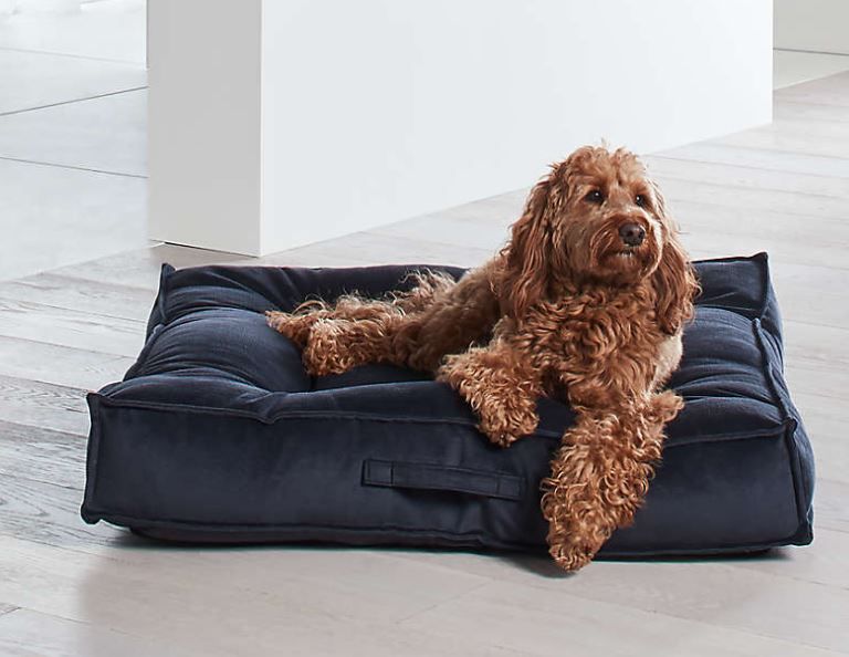 Piazza Extra Large Shale Tufted Dog Bed thumbnail 3