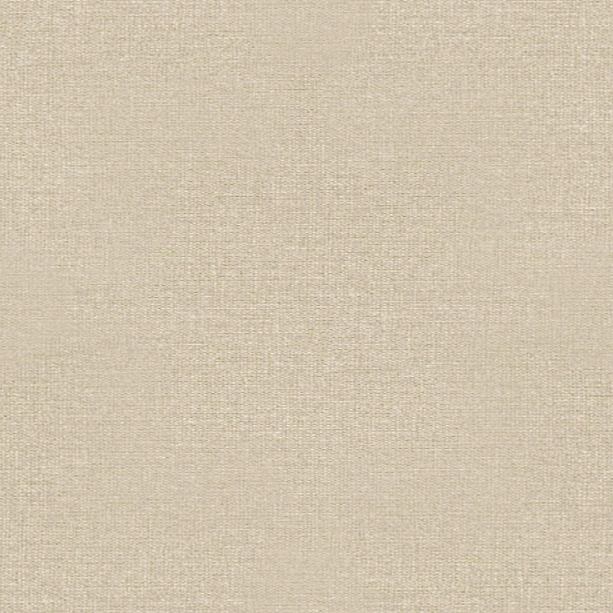 JASPER thumbnail 6