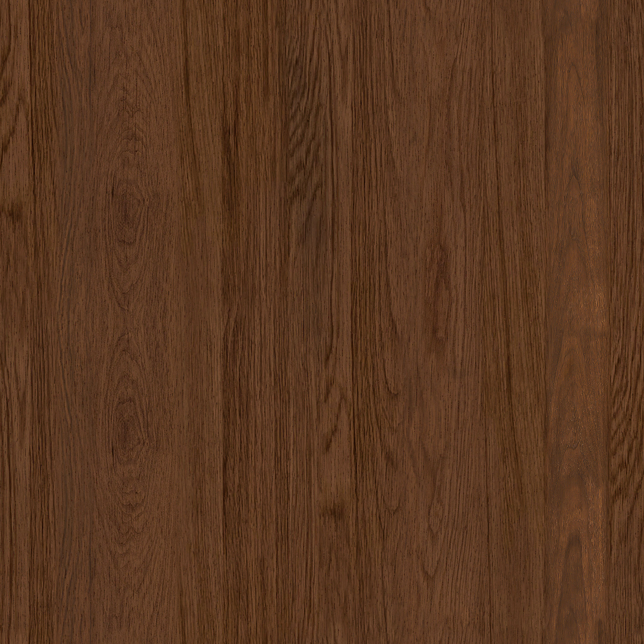 Lenia Walnut 63" Media Unit thumbnail 8