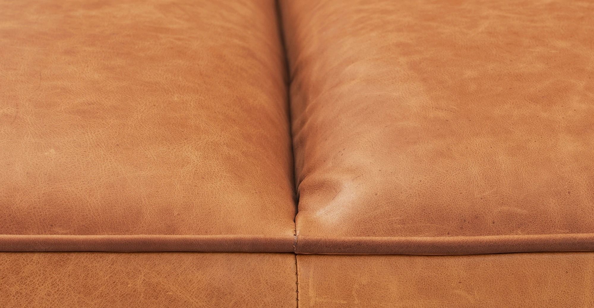 Jasper Daybed thumbnail 5