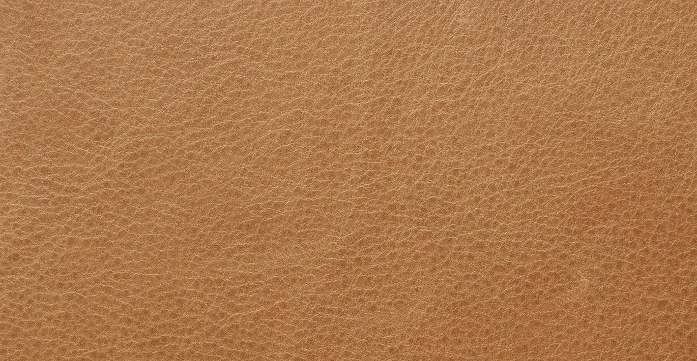 Texada Taos Tan Sofa thumbnail 7