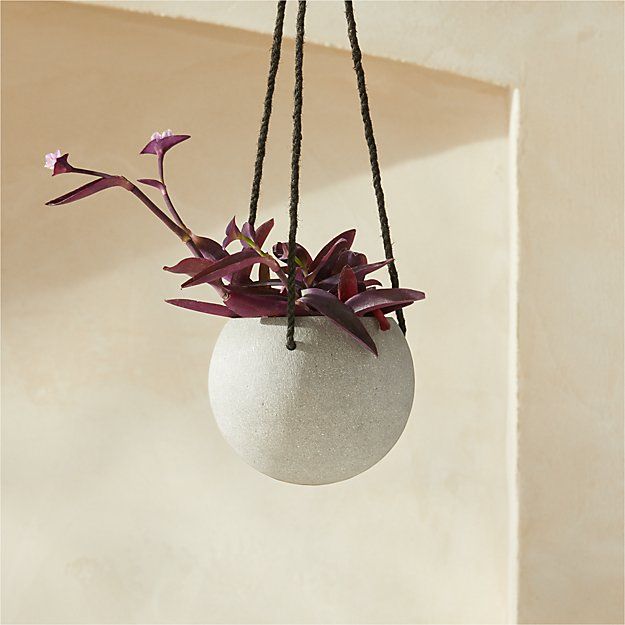 ORB SMALL HANGING PLANTER thumbnail 2