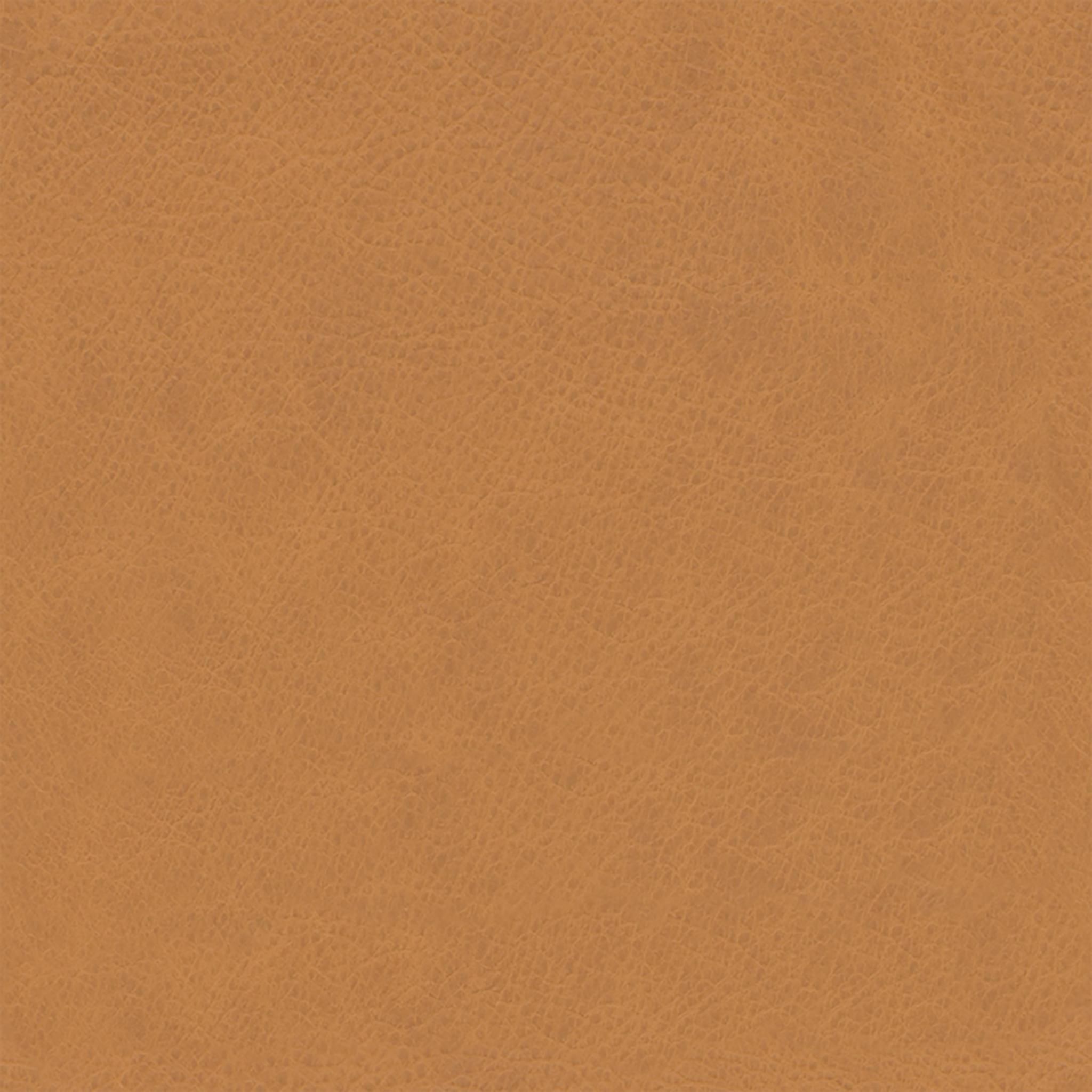 Sven Charme Tan Daybed-Single thumbnail 6