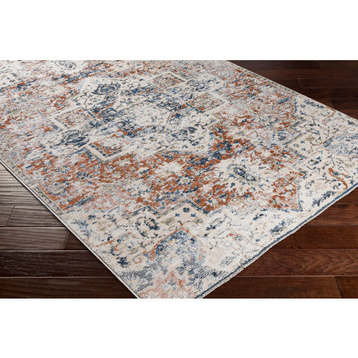 Blisa Rug - 8'10" x 13' thumbnail 2
