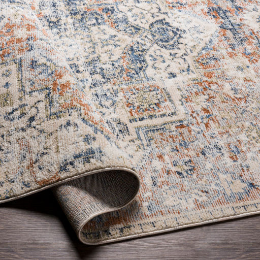 Blisa Rug - 8'10" x 13' thumbnail 3