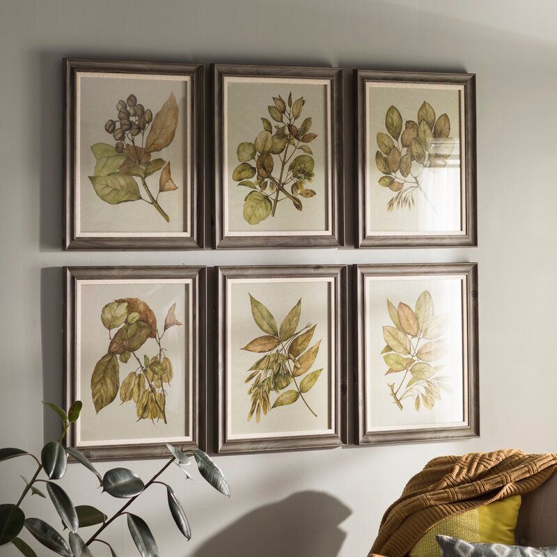 Seedlings 6 Piece Picture Frame thumbnail 4