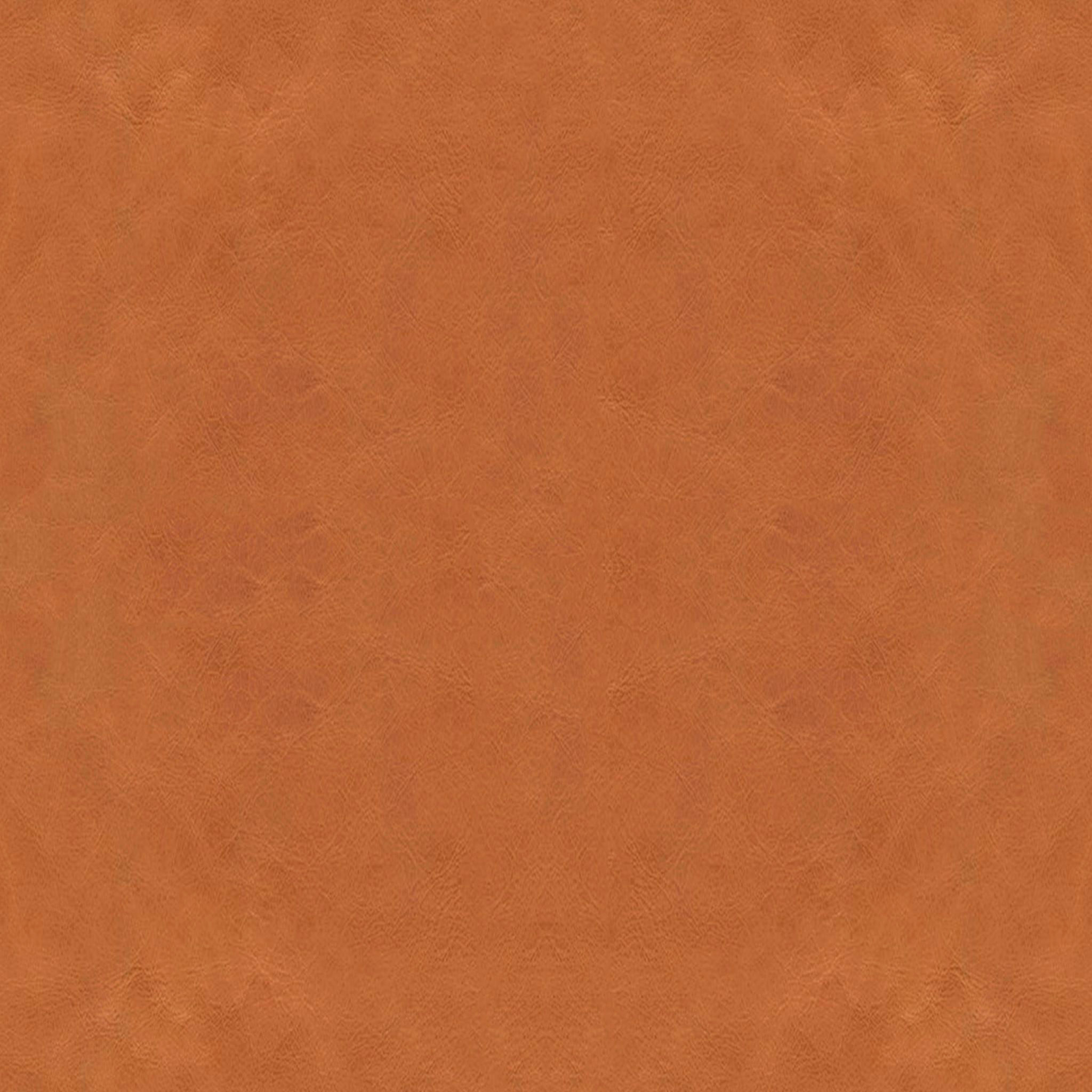 Phoebe Leather Chair Wood Legs thumbnail 2
