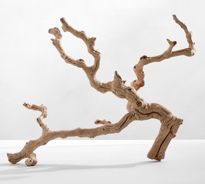 Dried Grapewood Branch - Natural - One thumbnail 2