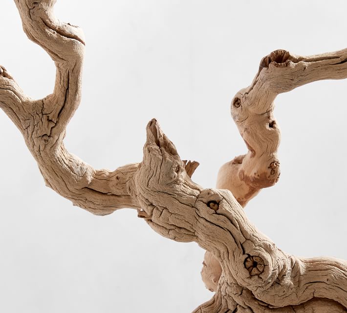 Dried Grapewood Branch - Natural - One thumbnail 3