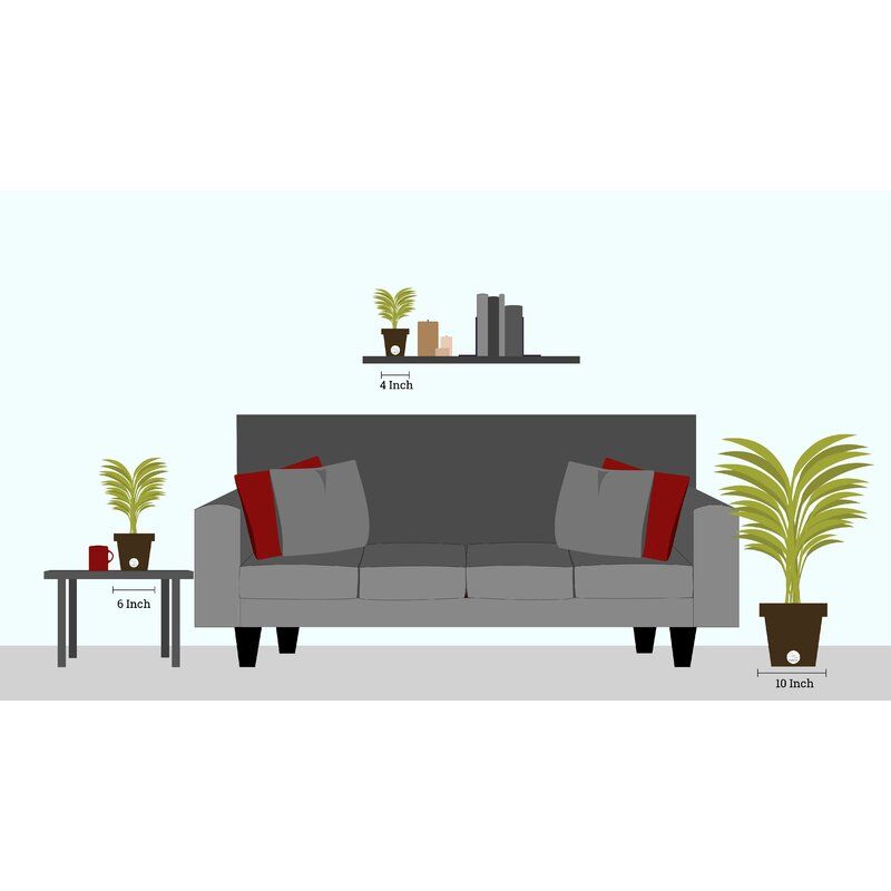 Dieffenbachia Plant in Planter thumbnail 2