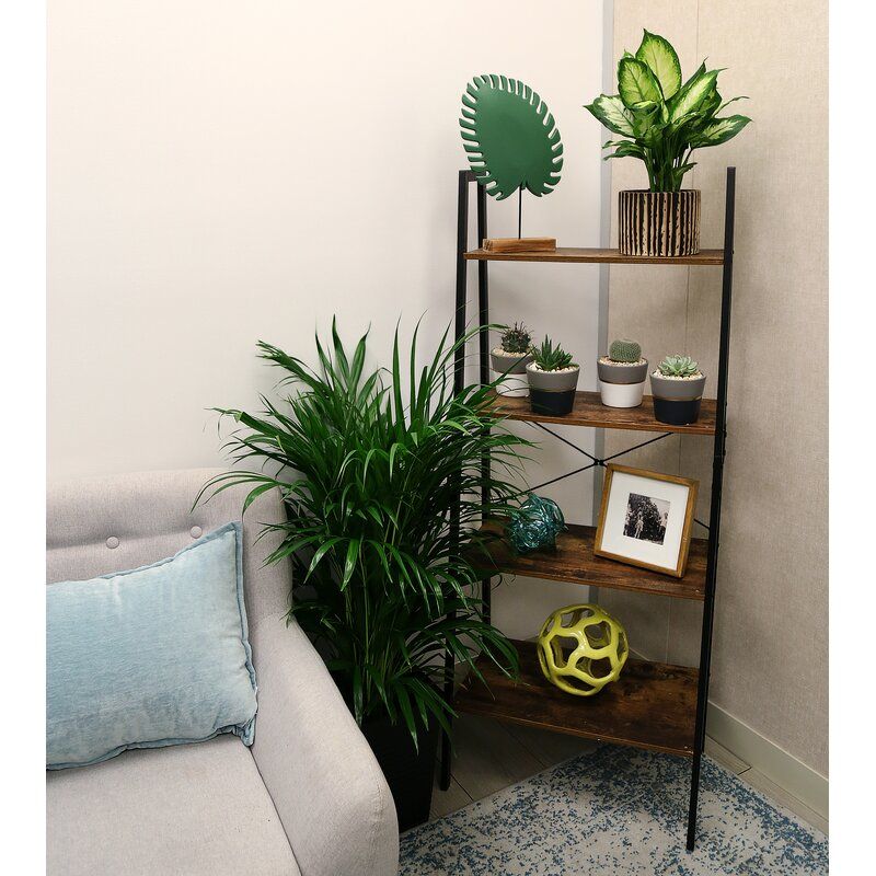 Dieffenbachia Plant in Planter thumbnail 4