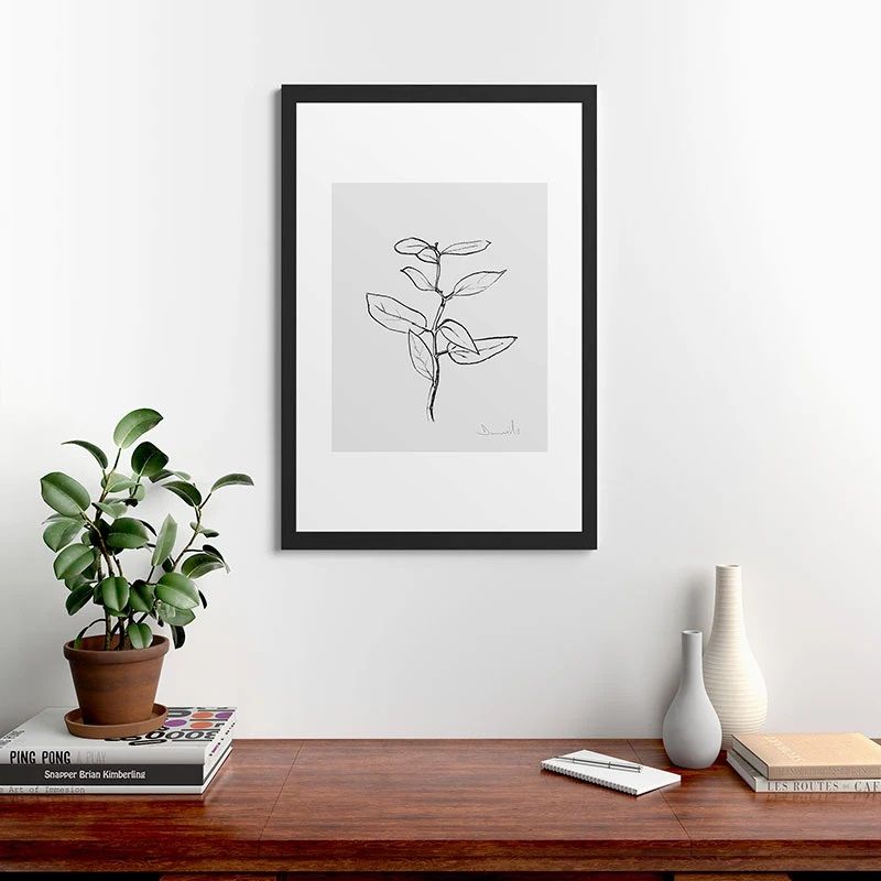 Eucalyptus Sapling thumbnail 2