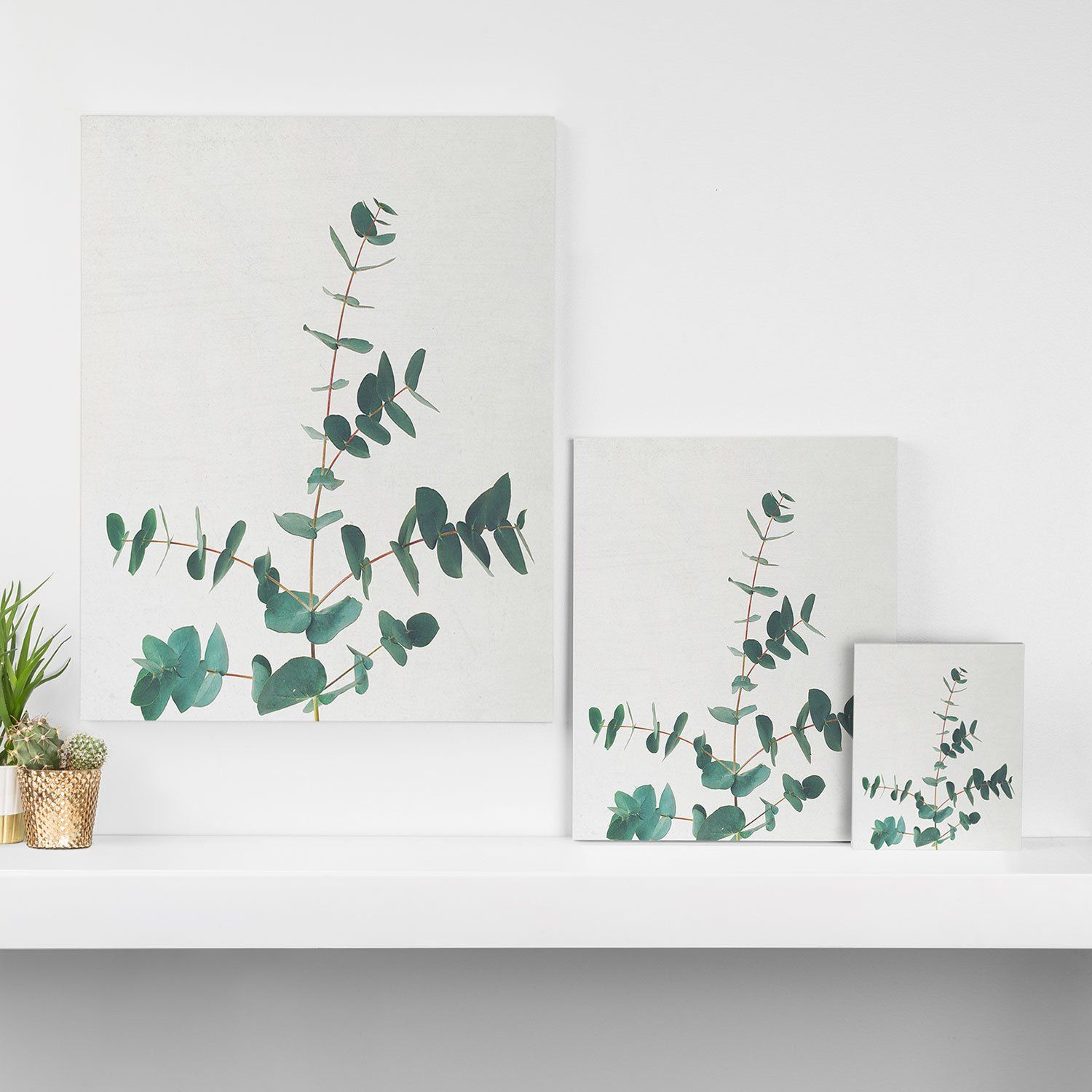 CASSIA BECK THE EUCALYPTUS ART CANVAS thumbnail 2