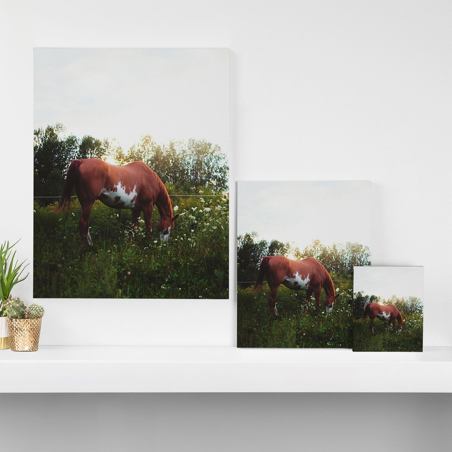 CHELSEA VICTORIA MOON IN THE MEADOW ART CANVAS thumbnail 2