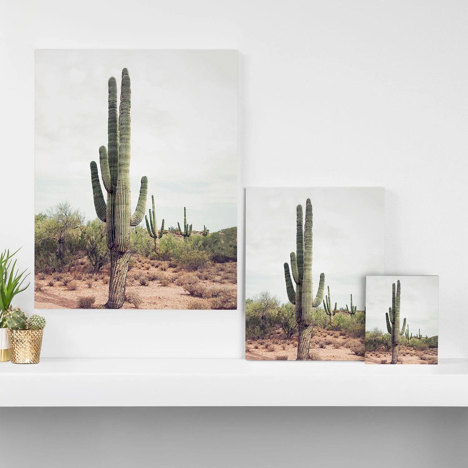Canvas Cactus Land thumbnail 3
