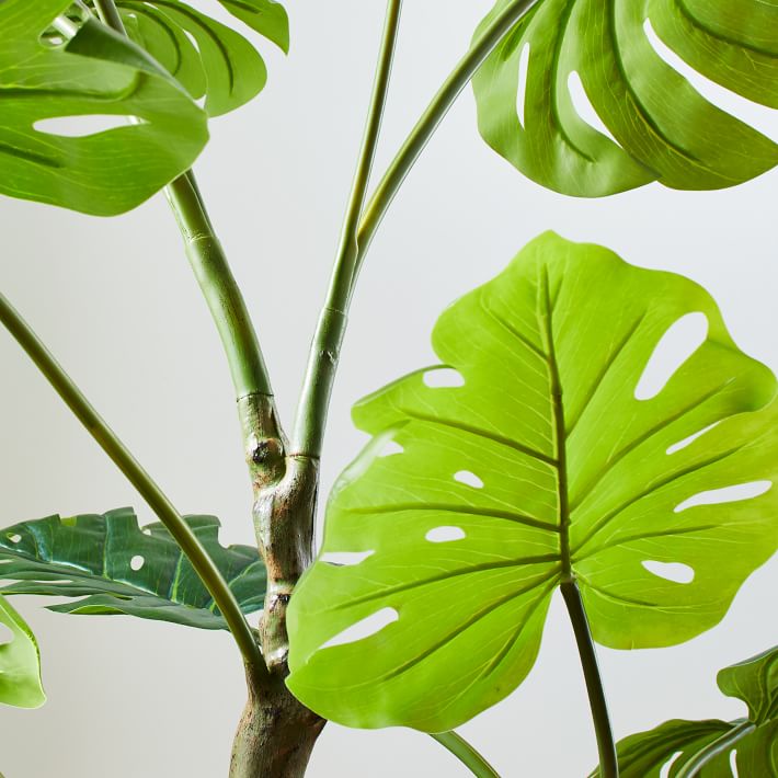 Faux Potted Monstera thumbnail 2