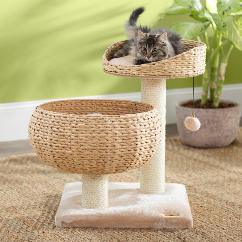 Deborah Cat Tree thumbnail 2