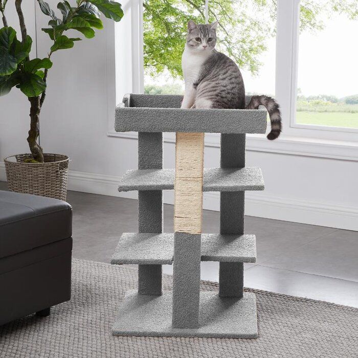 20 Towcester Callie 3 Level Cat Tree thumbnail 2