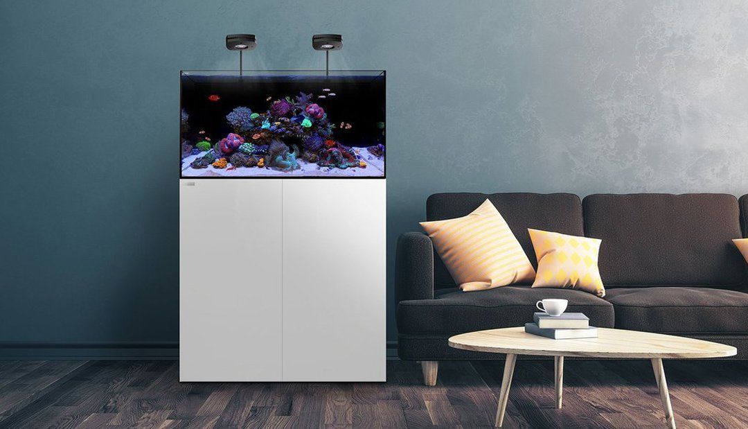 WATERBOX AQUARIUMS thumbnail 2