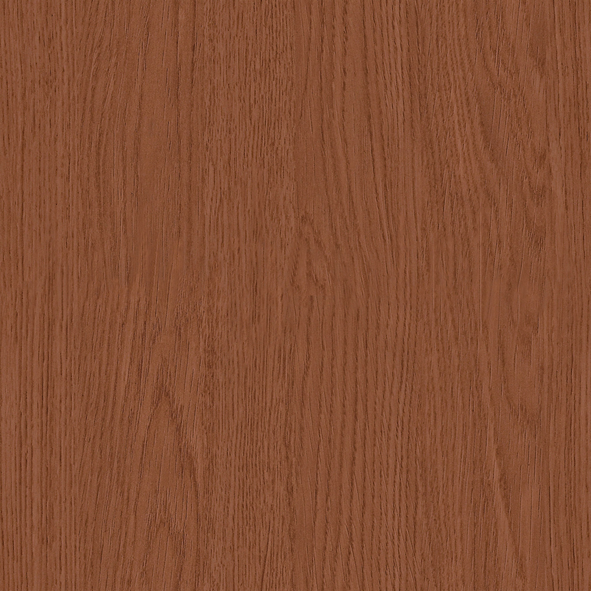Rotunda Chair thumbnail 7