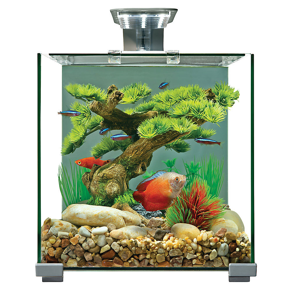Top Fin Retreat Aquarium thumbnail 2