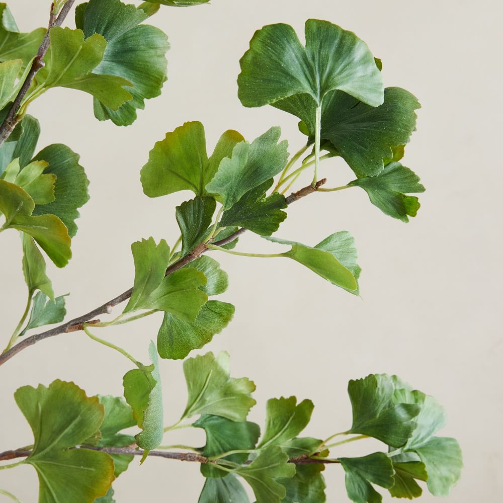 Faux Gingko Branch thumbnail 2