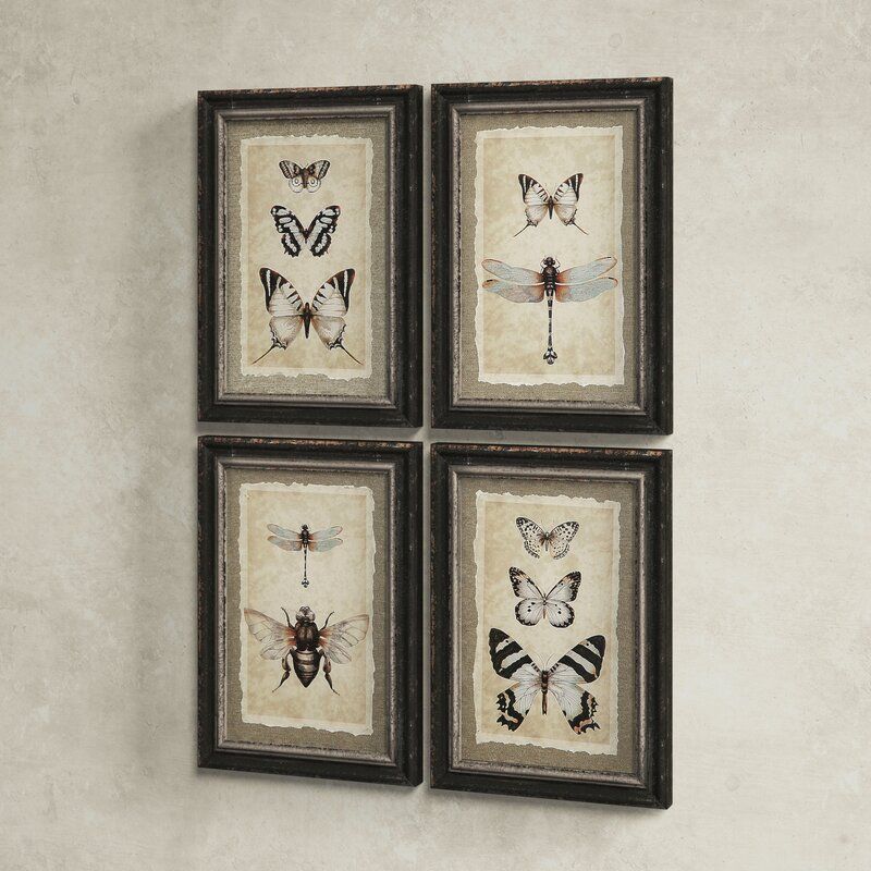 Vintage Insect Prints thumbnail 3