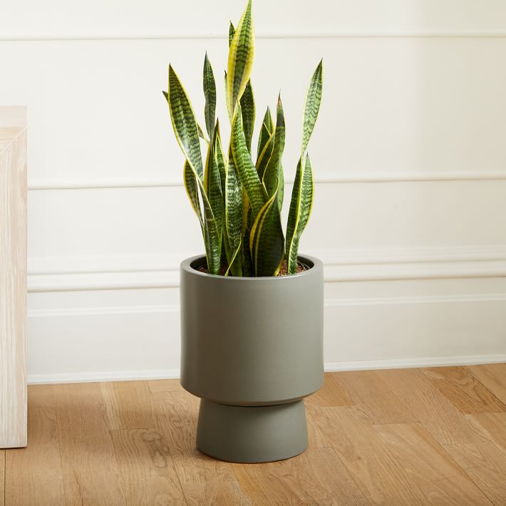 Bishop Indoor Outdoor Pedestal Planters  thumbnail 3