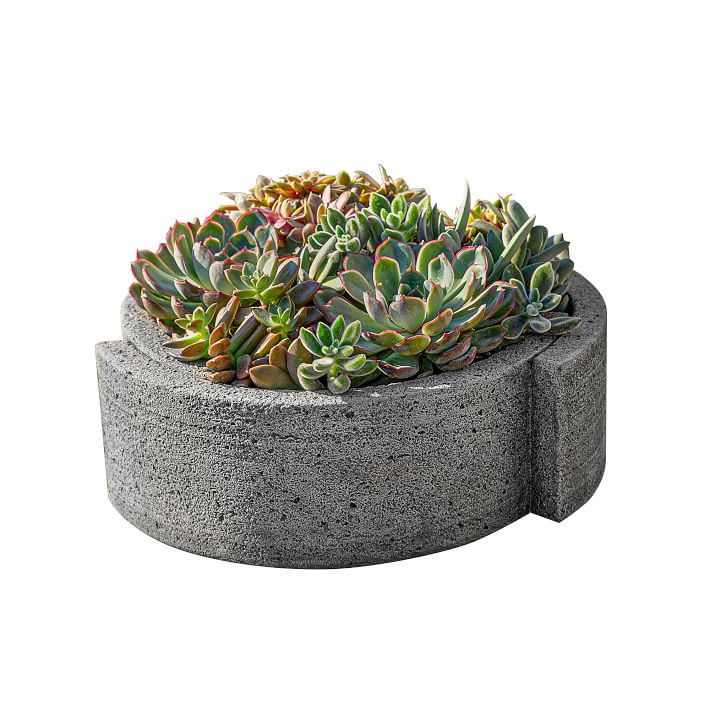 Low Concept Indoor Outdoor Planters thumbnail 3