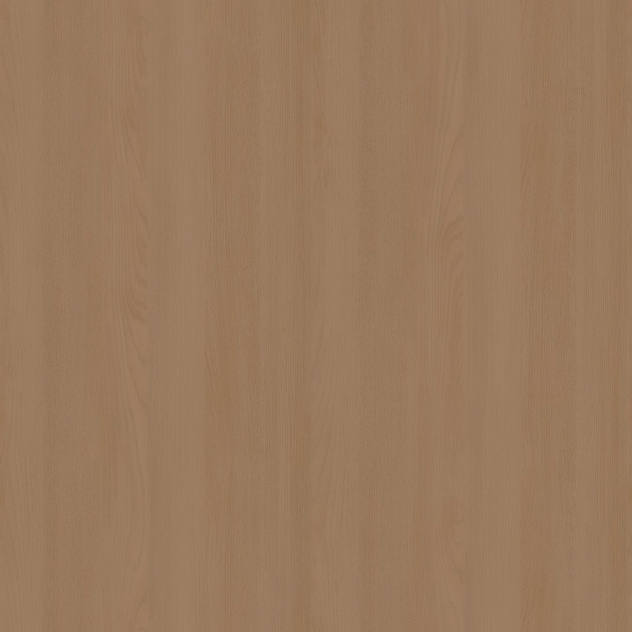 Latte Atlas Shelf thumbnail 4