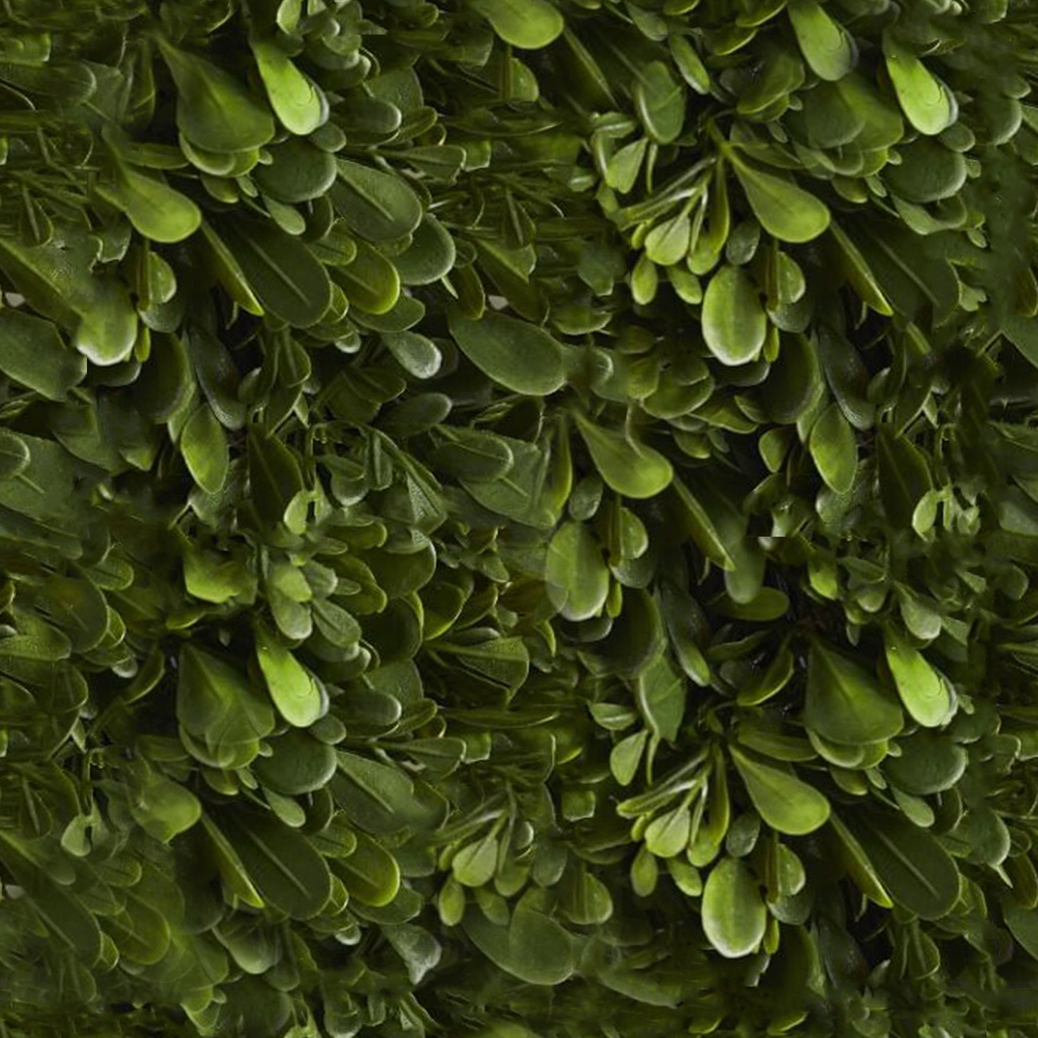 Faux Indoor Outdoor Tea Leaf Wreath thumbnail 3