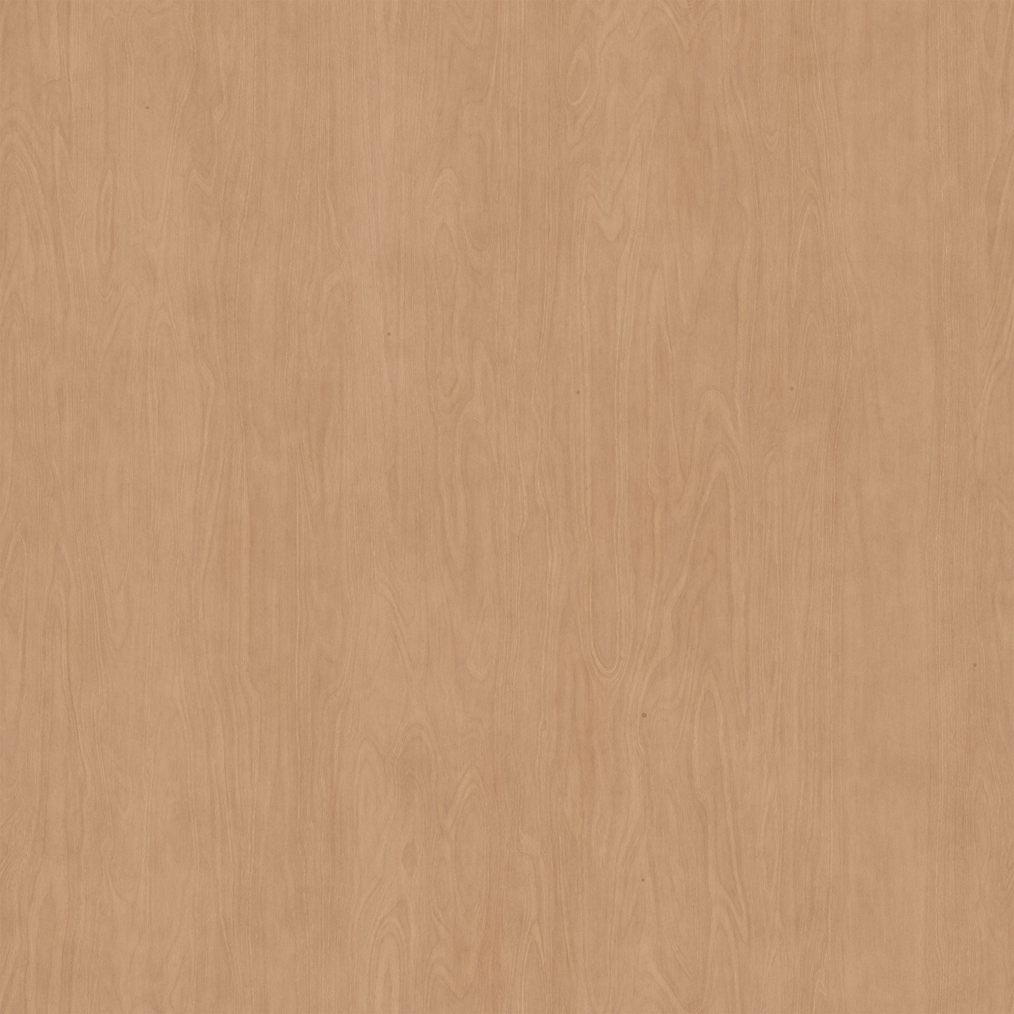 Latte Atlas Shelf thumbnail 5