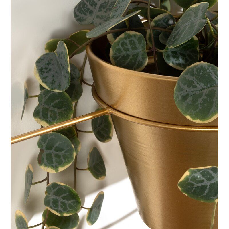 Isai Hoop Metal Hanging Planter thumbnail 6